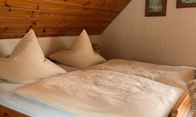 Bad Rippoldsau-Schapbach Apartamento | Habitación 'Doppelzimmer' con jardín compartido, balcón y Wi-Fi