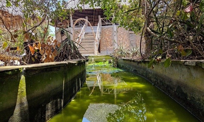 Gede Casa | Room in B&B - Mida Creek Eco Camp - Eco Lodge