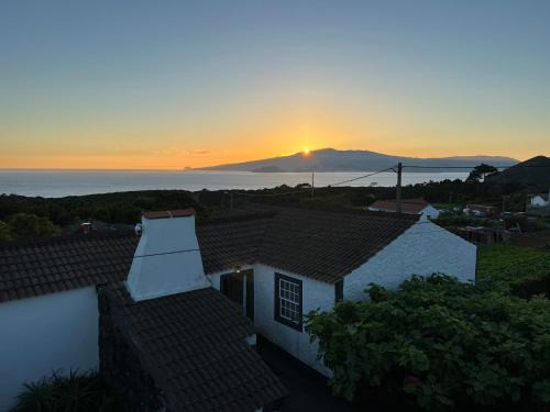 Monte Casa | Rosa do Canto