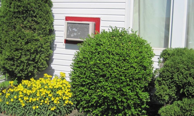 Stratford Hotel | Rosecourt Motel