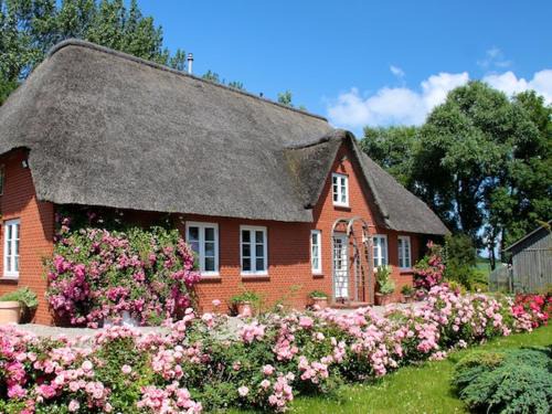 Garding Casa | Rosenkate