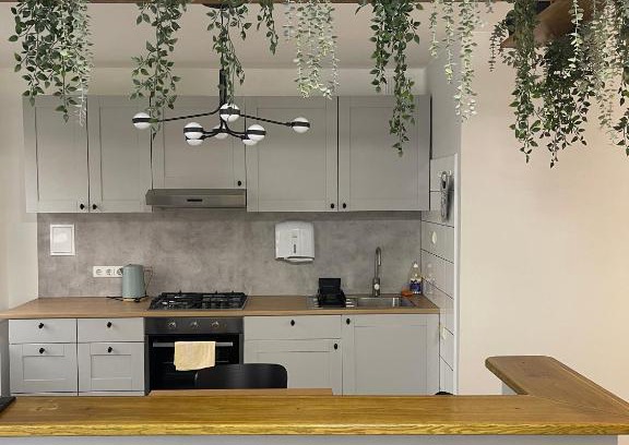 Birzai Apartamento | ROTUŠĖS g 23 APARTMENTS IN THE CITY CENTER BIRŽAI