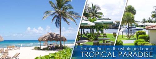 Hillsboro Beach Complejo | Royal Flamingo Villas