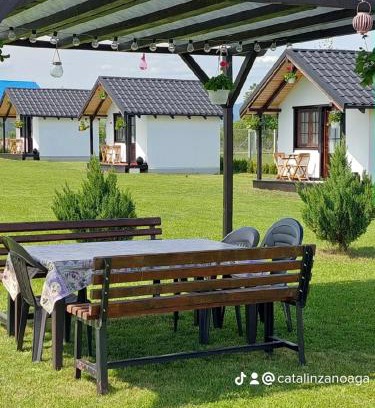 Rediu Casa | Roza Vânturilor