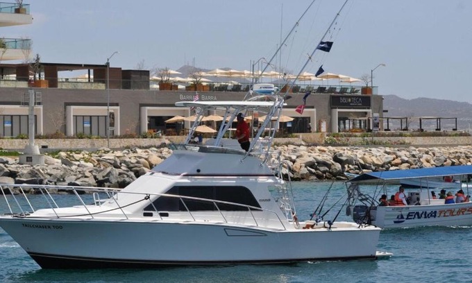 El Médano Ejidal Alquiler De Eote | Rudyc sport fishing and activities