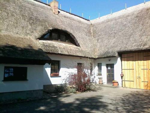Rothenkirchen Apartamento | Ruegen Fewo 40