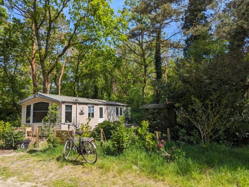Nunspeet Casa | Ruim Chalet, midden in het bos!