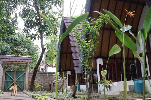 Gili Air Hotel | Rumah Gemala Gili Air