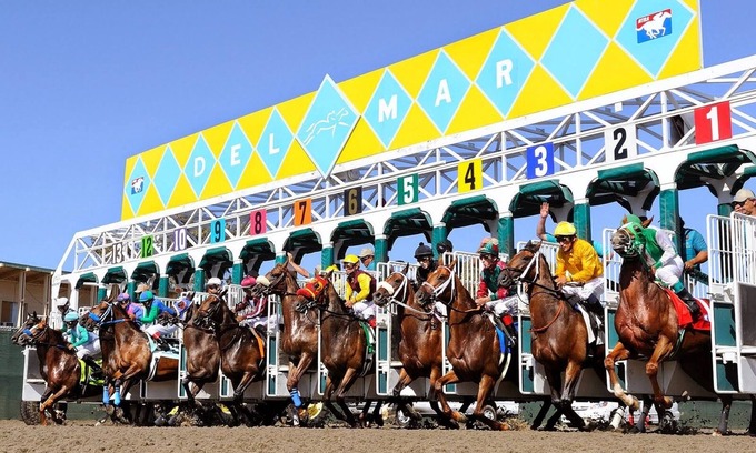 Solana Beach Condominio | Run to Del Mar for Breeders Cup week! Spacious, fully equipped 1BR condo!