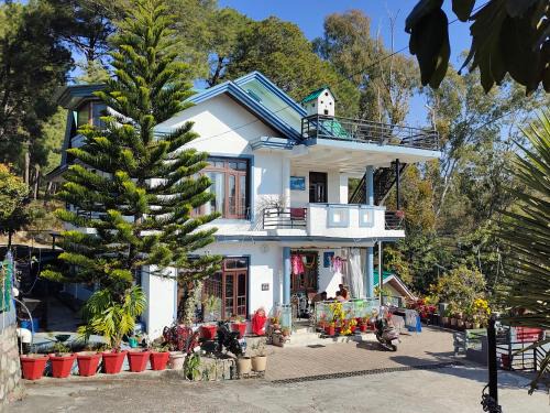 Palampur Cama Y Desayuno | Rupayan