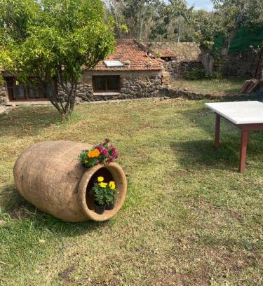 Tacoronte Casa | Rural House to take a Break, La Serreria 25 - Private garden