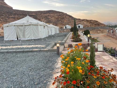Western Province Otro | Rural tents Naseem الخيمةالريفيةAlouzaib