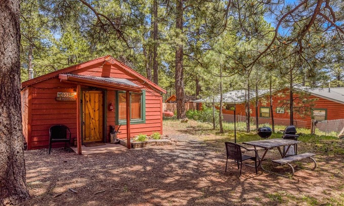 Parks Cabina | Rustic Adventure w/ Historic Log Cabin / Forest Views / 20 minutes from