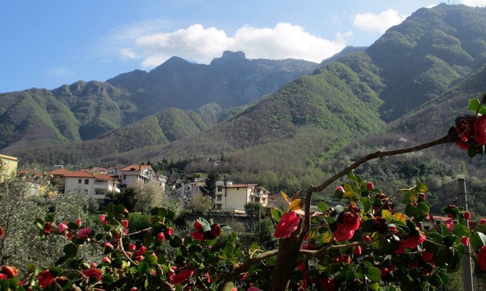 Piazza-Tralia-Pendolo Casa | Apartamento rústico en la planta baja con jardín de cítricos