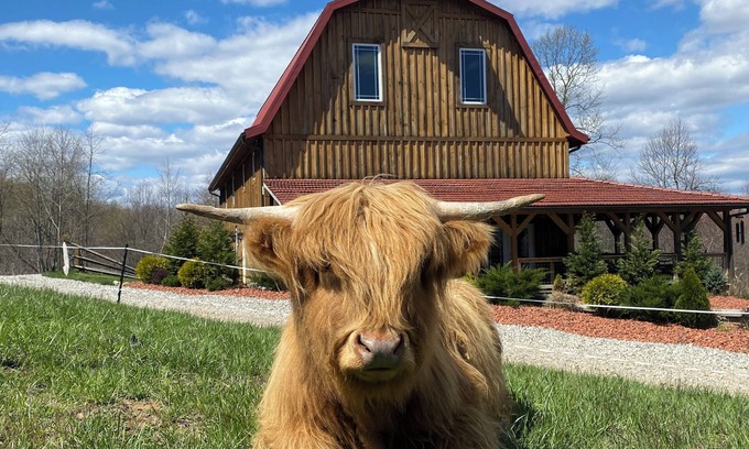McArthur Casa | Rustic Barn Cabin on Highland Cow Farm: Hiking Trails, Hot Tub and Pool Table