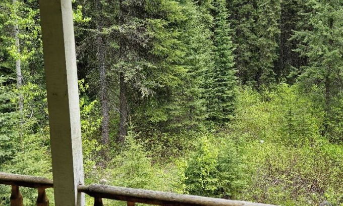 Golden Cabaña | Rustic Beaverfoot Lodge Executive Cabin