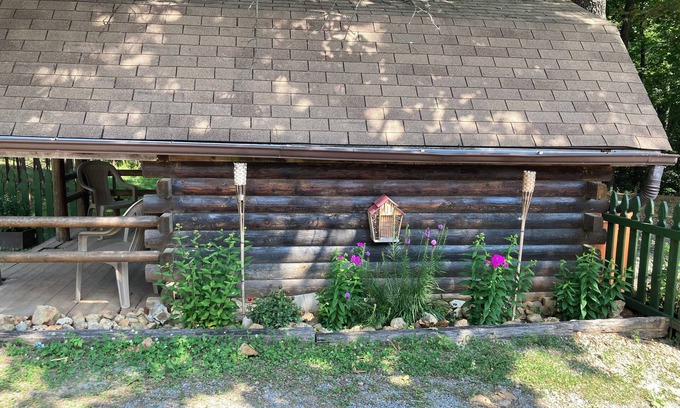 Aurora Cabina | Rustic Bee Cabin - camping