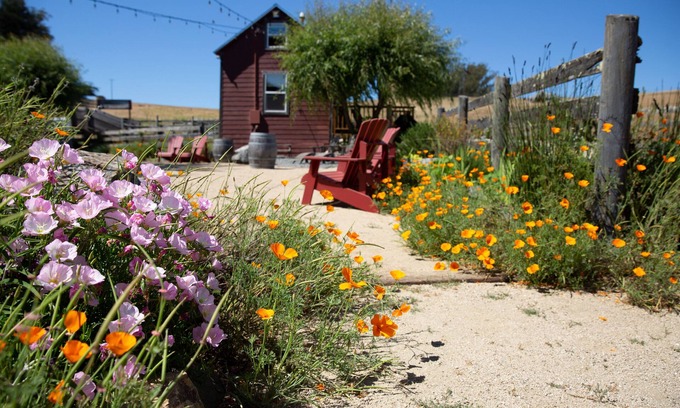Petaluma Cabina | Cabaña rústica en West Marin Organic Cattle Ranch