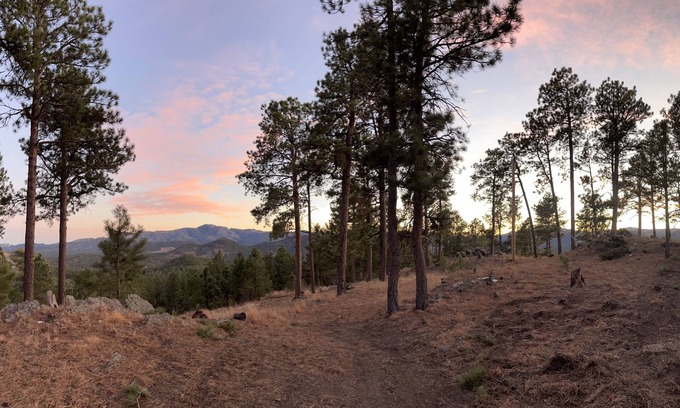 Hill City Cabina | Rustic Family Mountain Top Cabin! 360 degree “million dollar” Black Hills views!