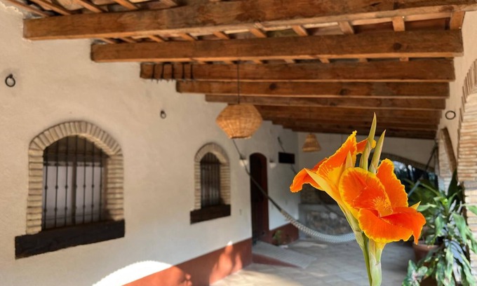 Santa María Tecomavaca Cabaña | Casa Rústica en la Reserva de la biosfera Tehuacán-Cuicatlan