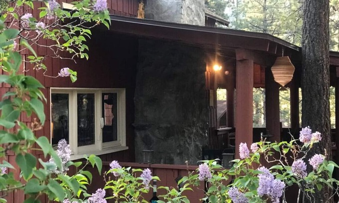 Wrightwood Cabina | Rustic Retreat|Pets OK, Near Village, Fireplace