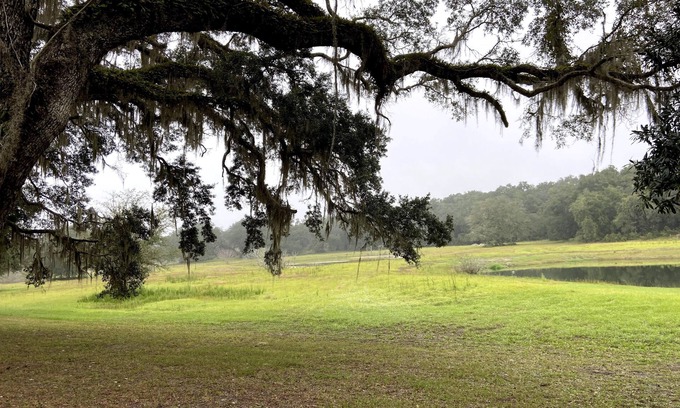 Old Town Otro | Rustic Retreat: Ranch Home with 40 Private Acres and Covered Patios