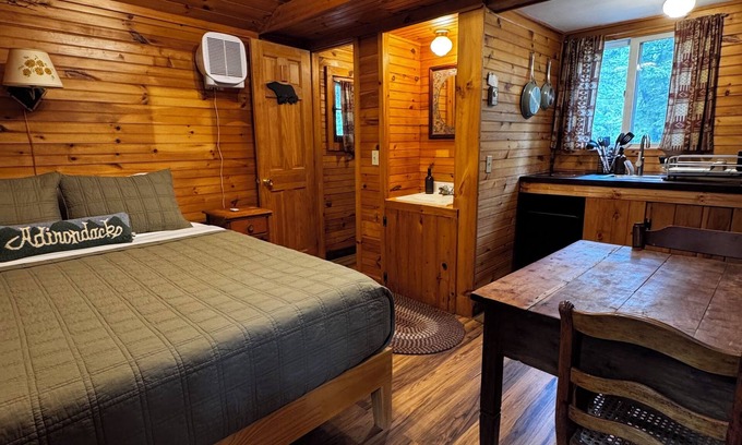 Lake Placid Casa | Rustic Skylight Adirondack Cabin