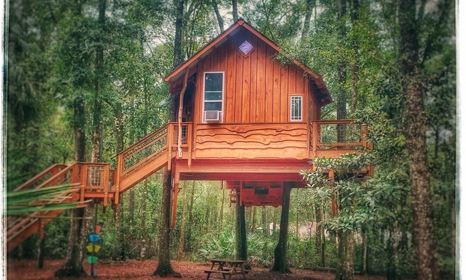 Old Town Cabina | Rustic Treehouse and Cabin Retreat Near the Suwannee River