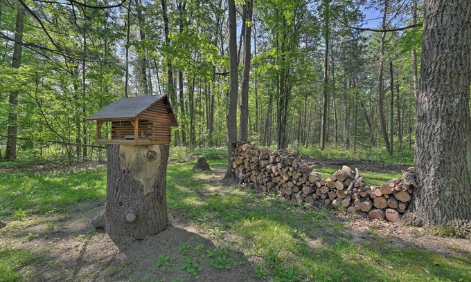 Mio Cabina | Rustic Wooded Retreat w/ Fire Pit, Near Trails!