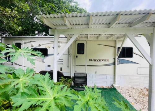 Homestead Otro | RV in the Little Jungle by Legnalife