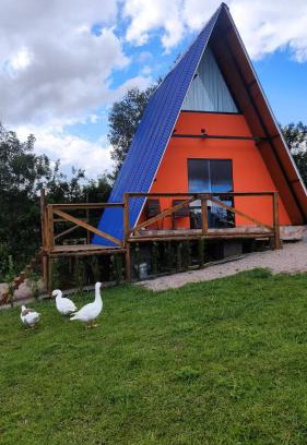 Miringuava Cabina | Sítio Eco-Betel Chalé Pitanga