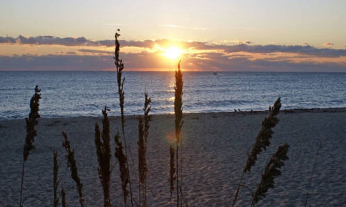 Parrot Cove Cama Y Desayuno | Sabal Palm House Bed & Breakfast