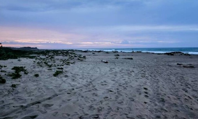 Los Brazos Apartamento | Sabaneta - Hidden Luxury Apartment by the beach