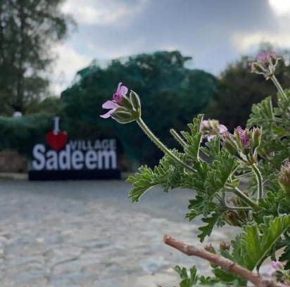 Ash Shafa Villa | Sadeem Village & Chalet