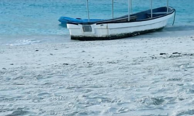 Stone Town Casa | Safari House