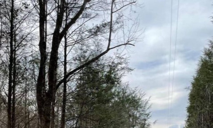Roan Mountain Casa | Safe Haven Farm RV Spot #2