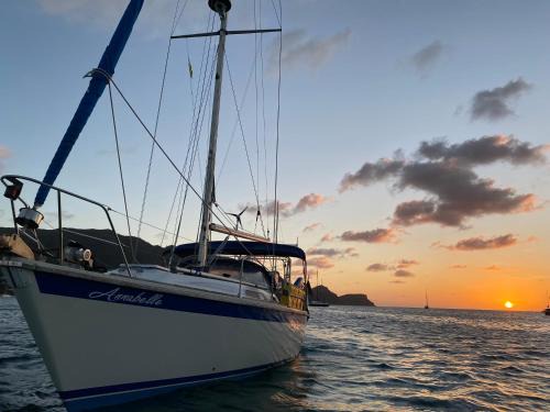 Carti Tupile Alquiler De Eote | Sailing in San Blas private boat