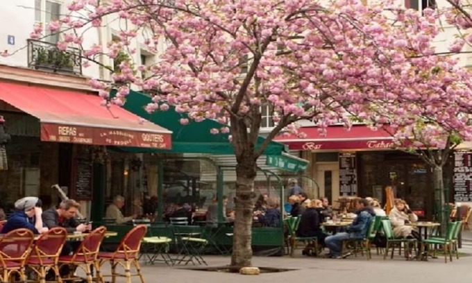 Saint-Mande Apartamento | SAINT MANDE-A HERMOSO RETIRO PARISIANO