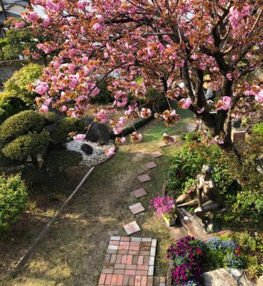 Minami Casa | Sakura house