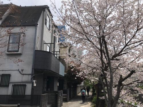 Shinjuku Villa | sakurakan