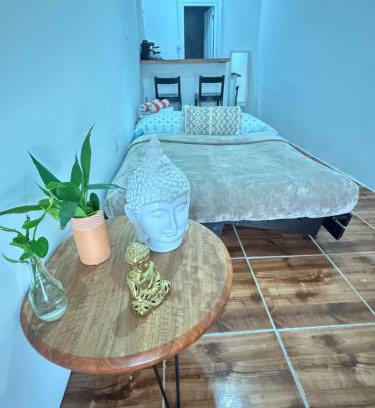Santurce Apartamento | Salo Casa Verde Studio