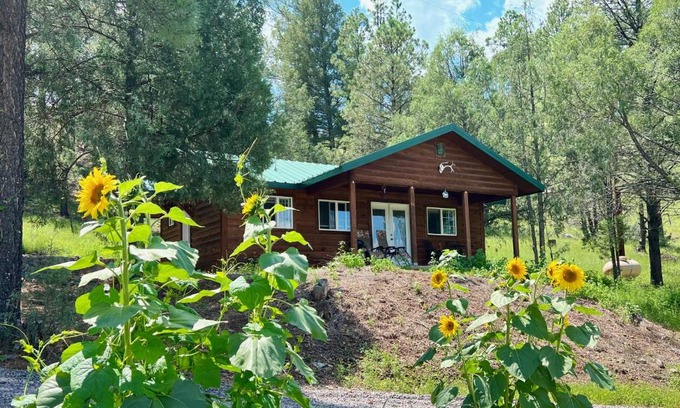 San Lorenzo Casa | Salt Creek Cabin In The Gila