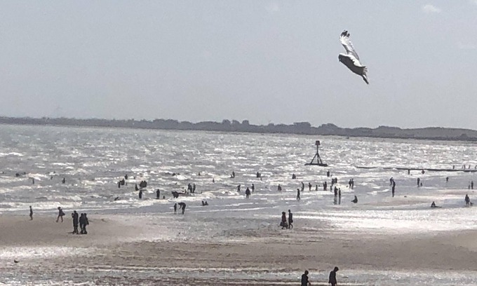 Bridlington Cama Y Desayuno | Salt on the Harbour