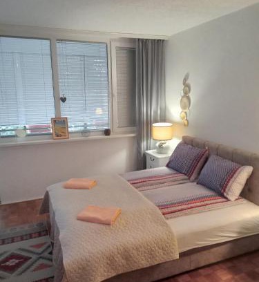 Cacak Apartamento | Saluki 032