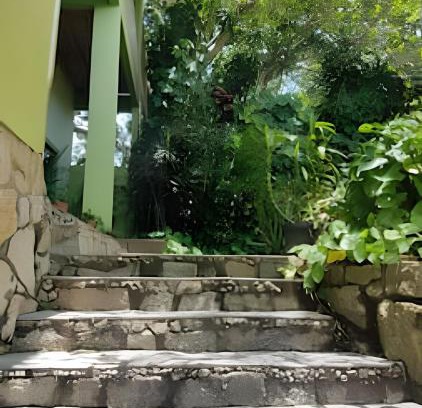 Campeche Sul Casa | Samauma Floripa Aluguel de Quartos