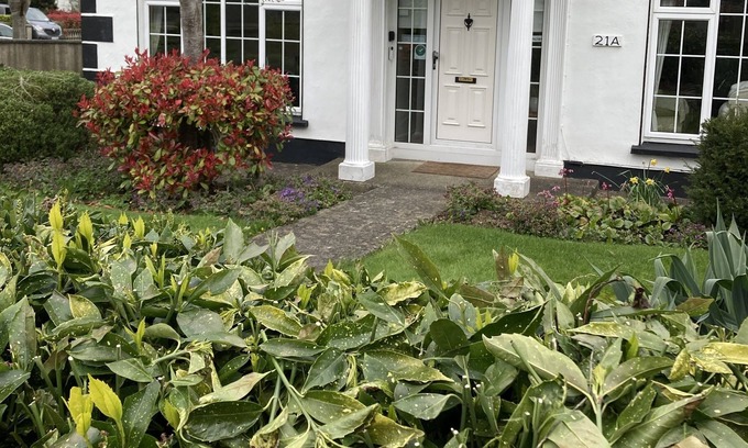 Swords Cama Y Desayuno | San Augustine Bed & Breakfast