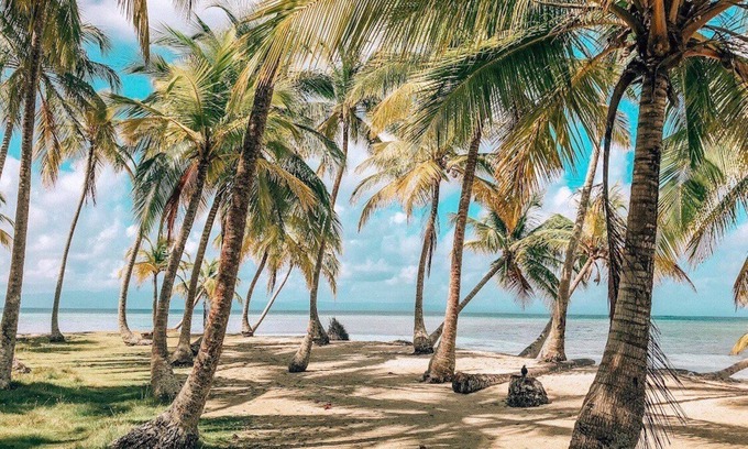 Carti Tupile Alquiler De Eote | San Blas Private Sailboat - Island Hopping
