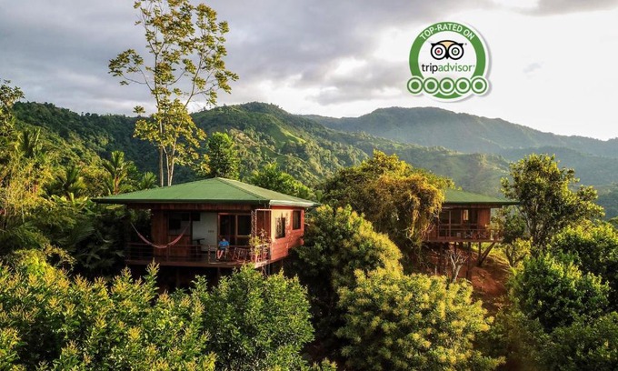 Naranjito Cabina | Santa Juana Lodge & Nature Reserve