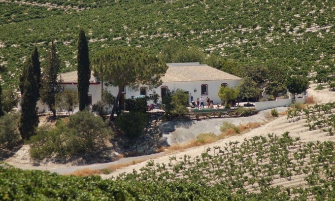 Jerez de la Frontera Casa | Cortijo de 1727 en medio de Viñedo a 15 km. de la playa.
