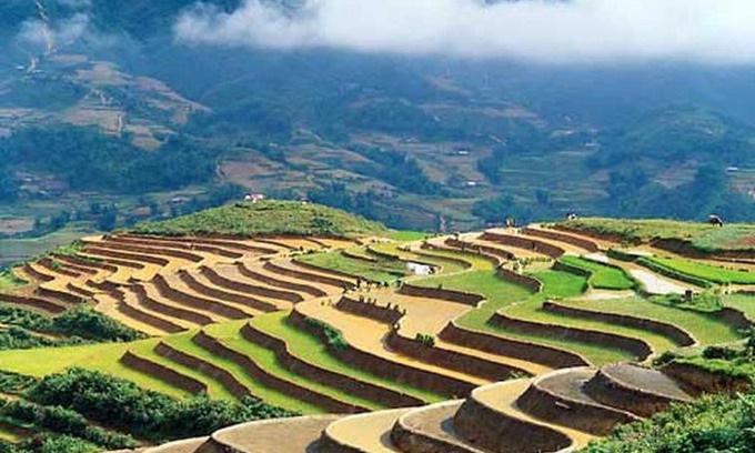 Lao Cai Casa | Sapa Homestay Trekking Tour For Backpackers